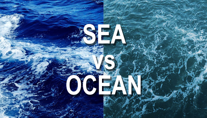 Differences Between Oceans and Seas