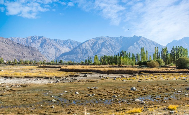 Top 20 Visiting Places in India for Summer Vacation